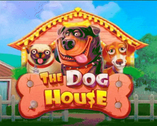 play the dog house in 711casino3